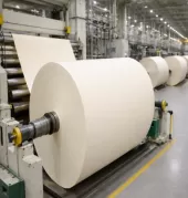 Bulky Offset Paper